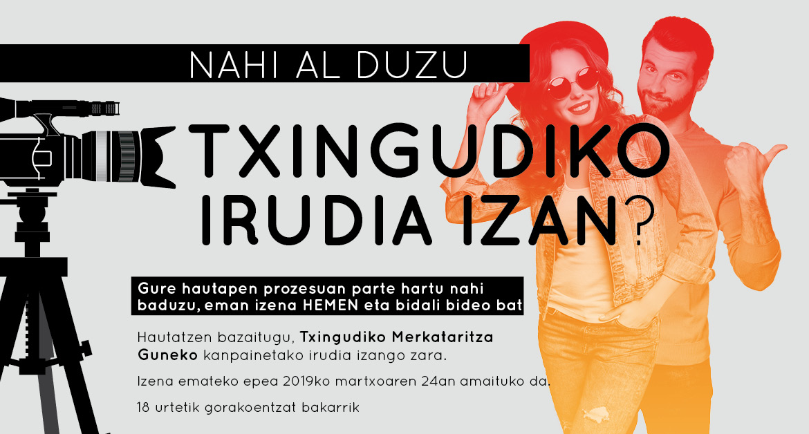 Nahi al duzu Txingudiren irudia izan?